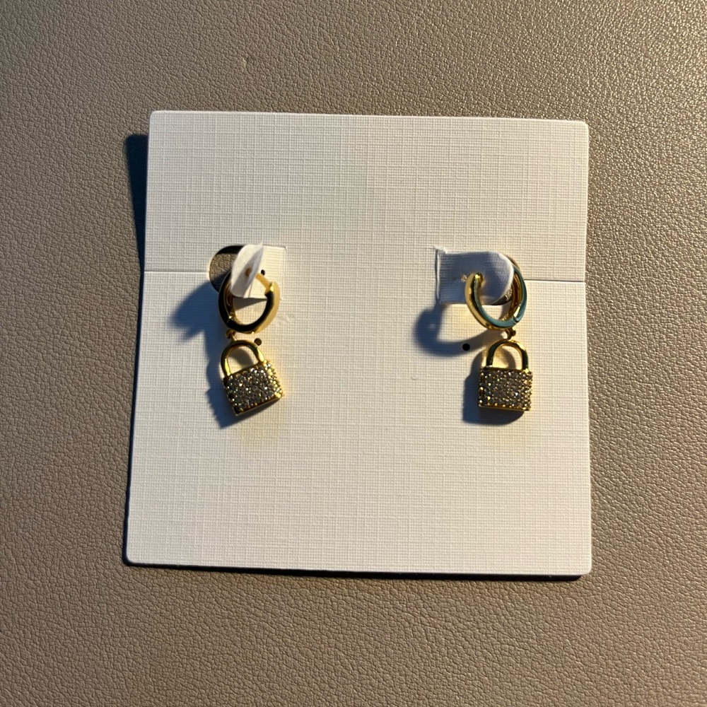 Rudiment Presidio lock huggie earrings NWOT